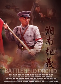 牛牛视频在线